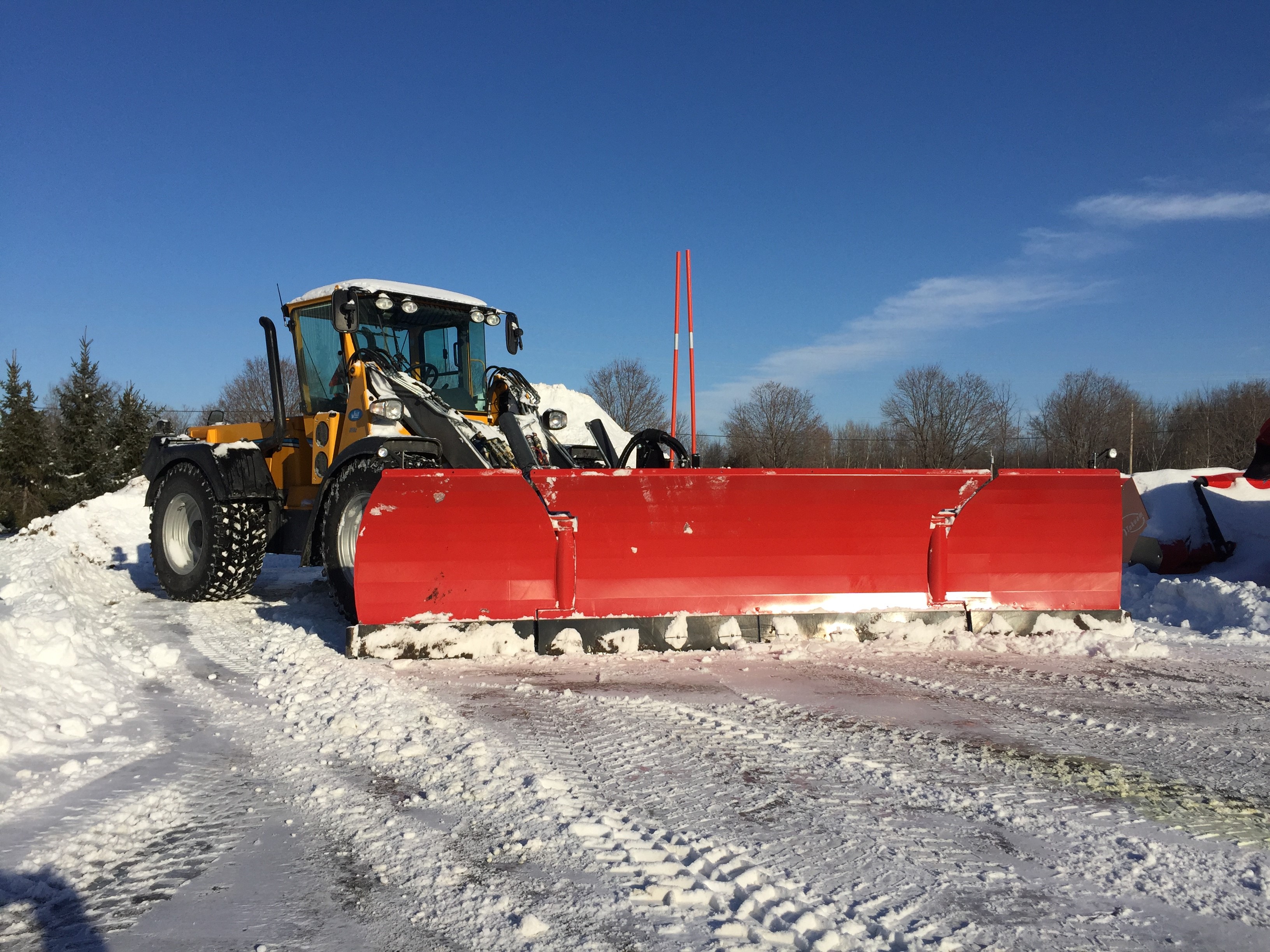 UT430 - Wille 855.jpg